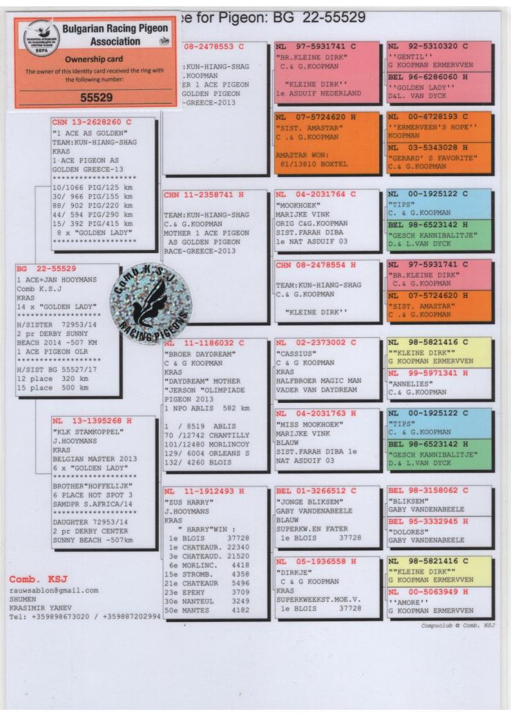 BG 55529-22 M - 1 Ace AS Golden OLR x Hooymans 268 top breeding hen!
