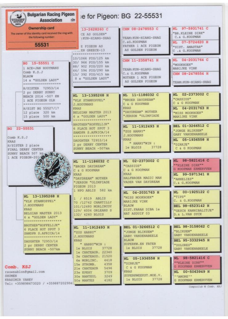 BG 55531-22 M - Half brother 2 Final Sunny Beach OLR