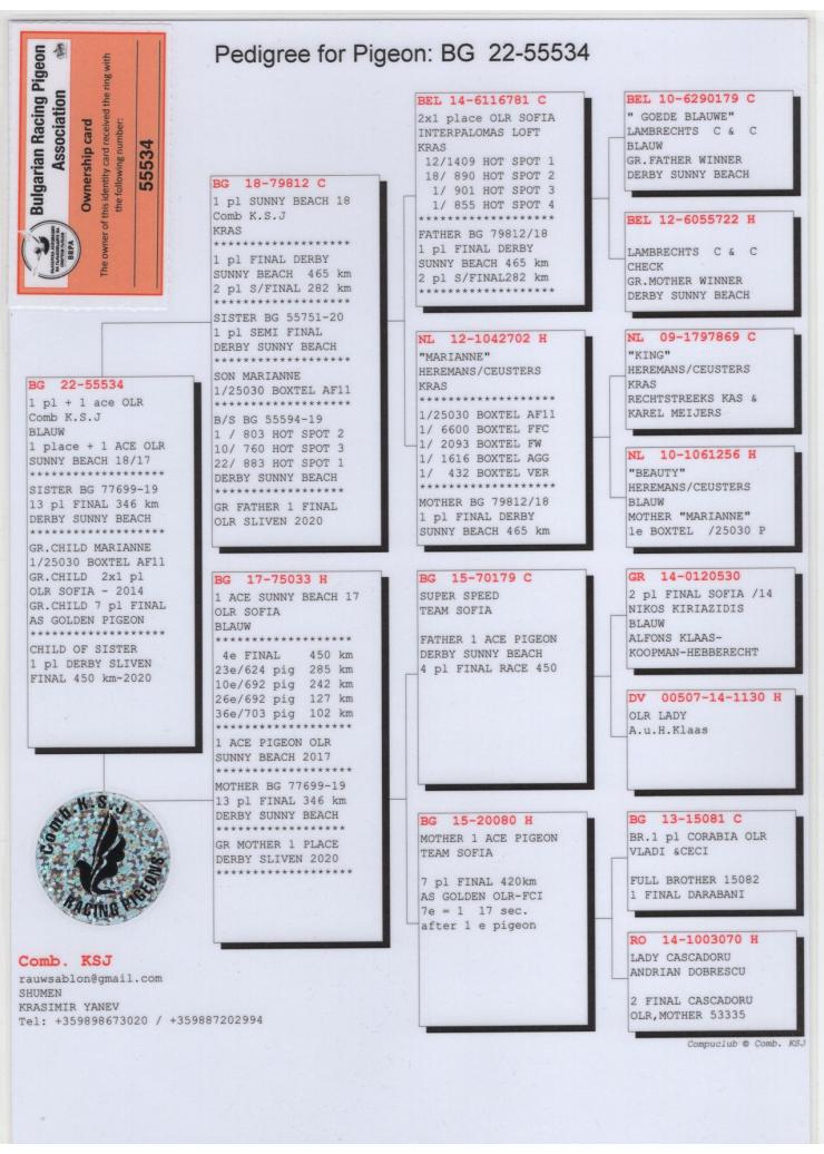BG 55534-22 F - 1 Final Sunny Beach OLR x 1 Ace Sunny Beach