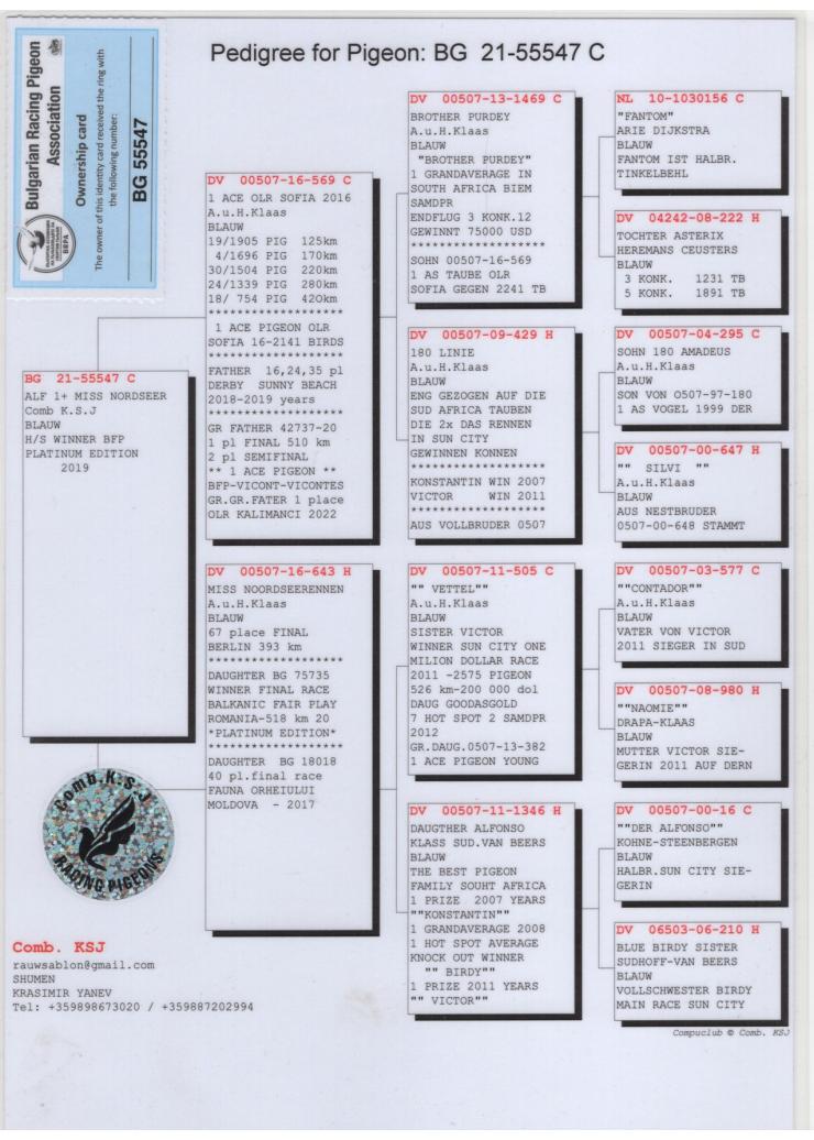 BG 55547-21 M - 1 Ace Sofia OLR 2016 x Mother 1 Final BFP