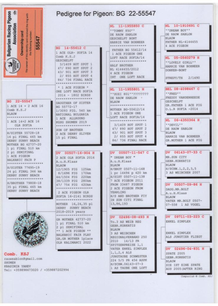 BG 55547-22 F - 1 Ace Sofia OLR 2014 x 2 Ace Sofia 2016