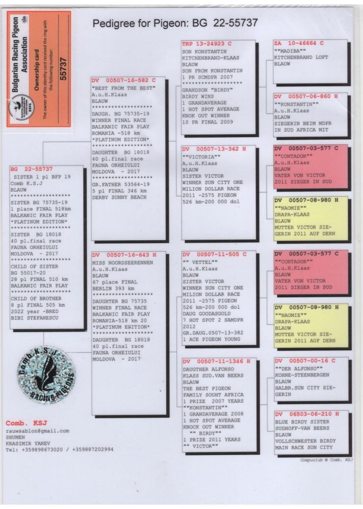BG 55737-22 F - Full sister 1 Final Balkanic Fair-Play OLR