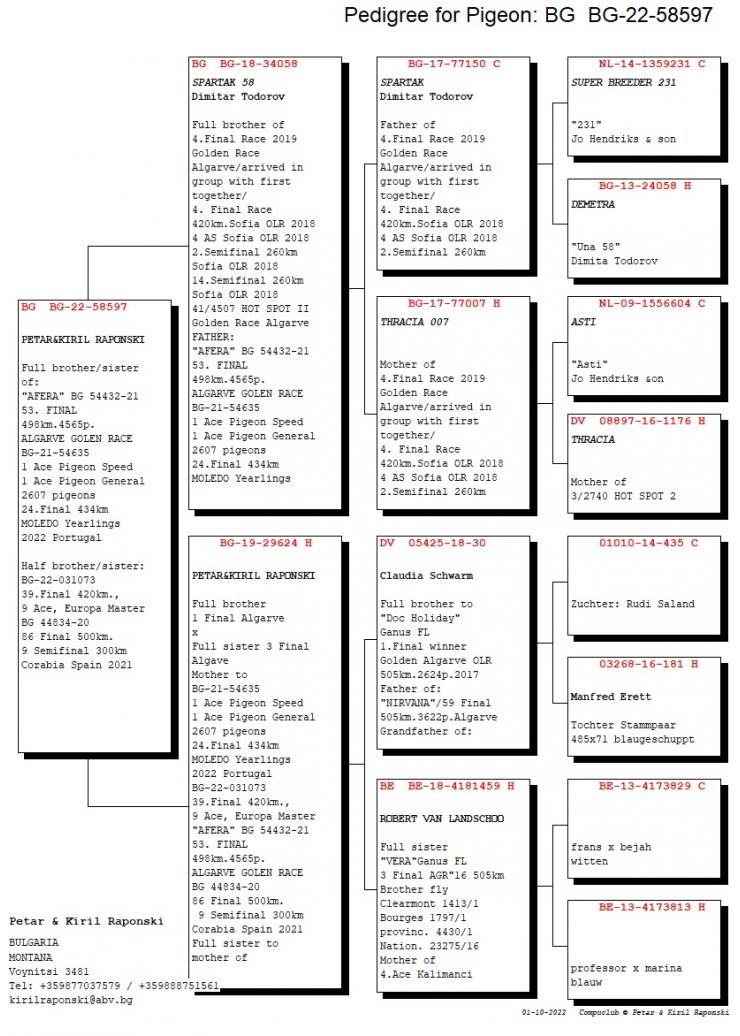 BG 58597-23 M - Full brother 53 Final Algarve Golden Race