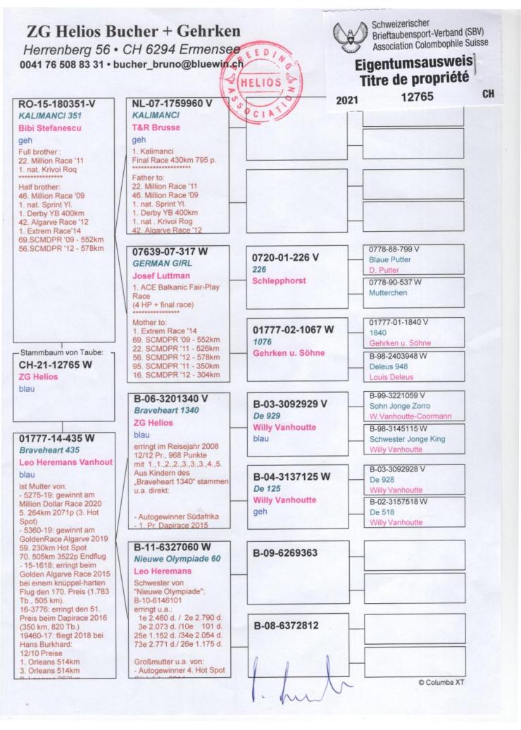 CH 12765-21 F - ZG HELIOS - Granddaughter Braveheart 1340, Kalimanci