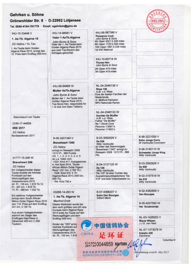 CHN 44859-17 F - ZG HELIOS - Daughter 1 Ace AGR; Gmother 1 Super Derby Rimini OLR