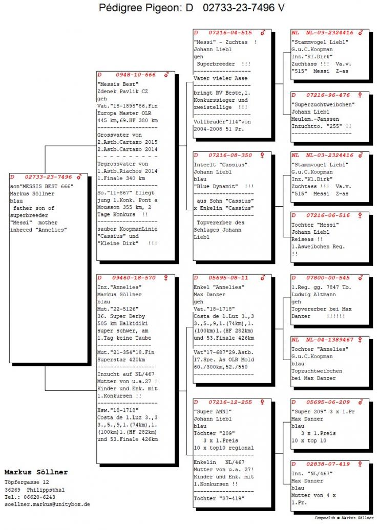 DV 2733-23-7496 M - Son Messi s Best 666, super breeder