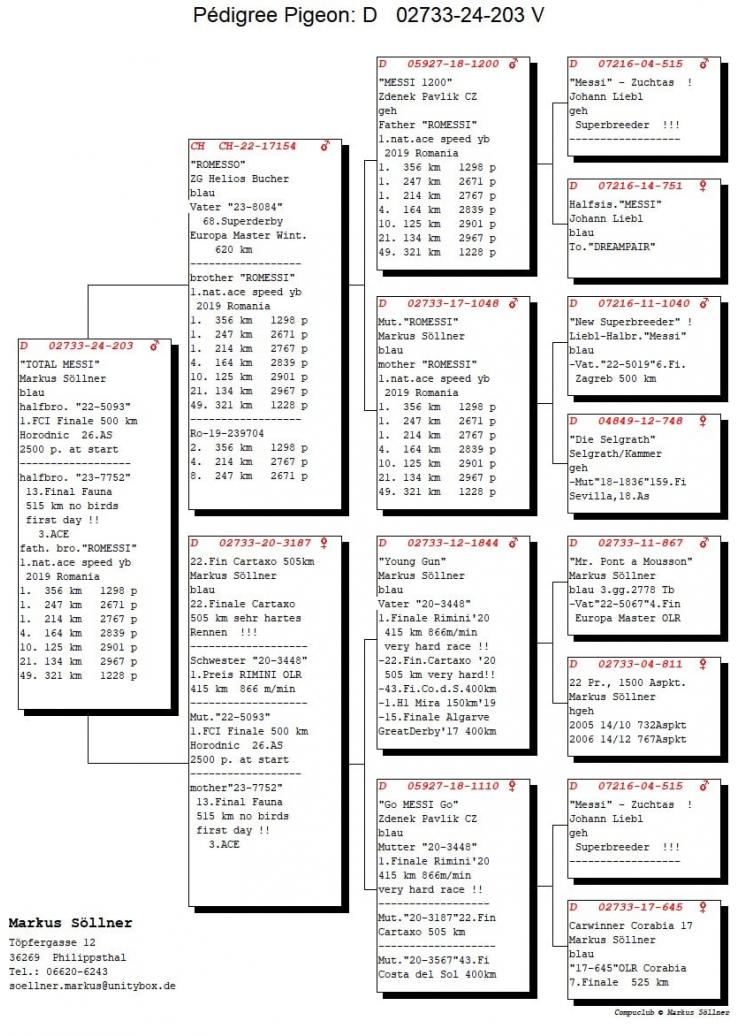 DV 2733 24 203 M - Halfbrother 1 Final Horodnic