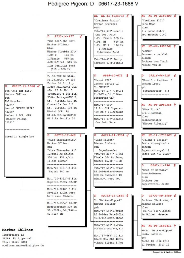 DV 6617-23-1688 M - Son Ace - The Best (1 Final + 1 Ace Fond Corabia)