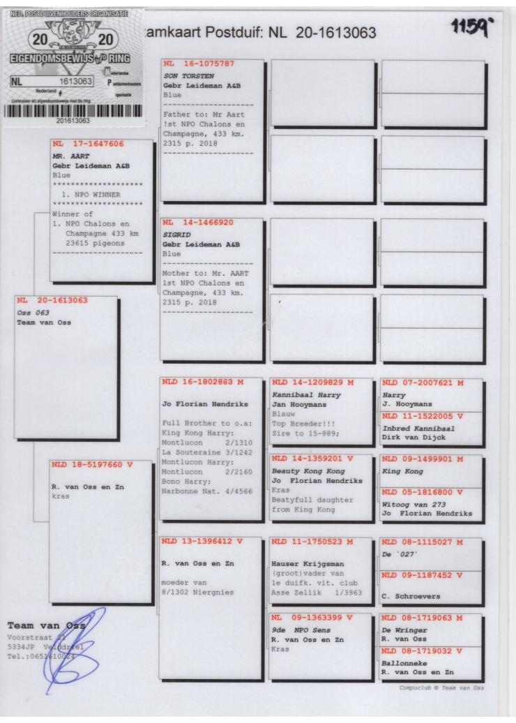 NL 1613063-20 F - TEAM VAN OSS - Daughter 1 Nat NPO Chalons 23615 pigeons 