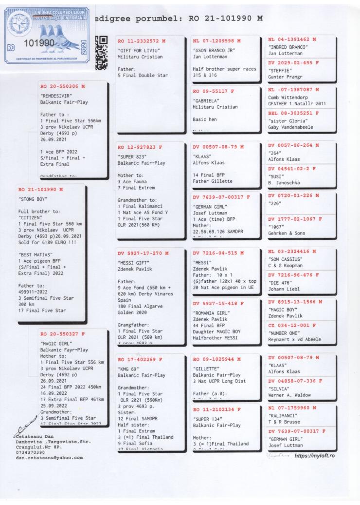 RO 101990-21 M - DAN CETATEANU - Brother 1 Final FS OLR, 1 Ace BFP (SF+F+EF)
