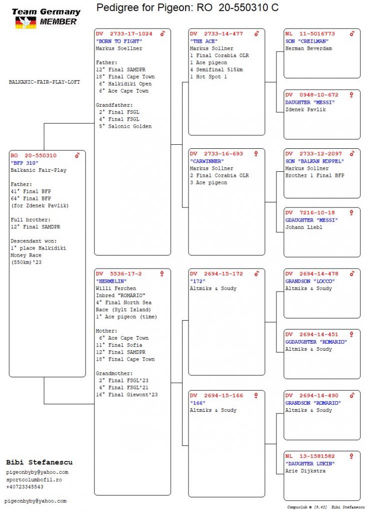 RO 20 550310 M - BFP LOFT - Brother 12 Final SAMDPR