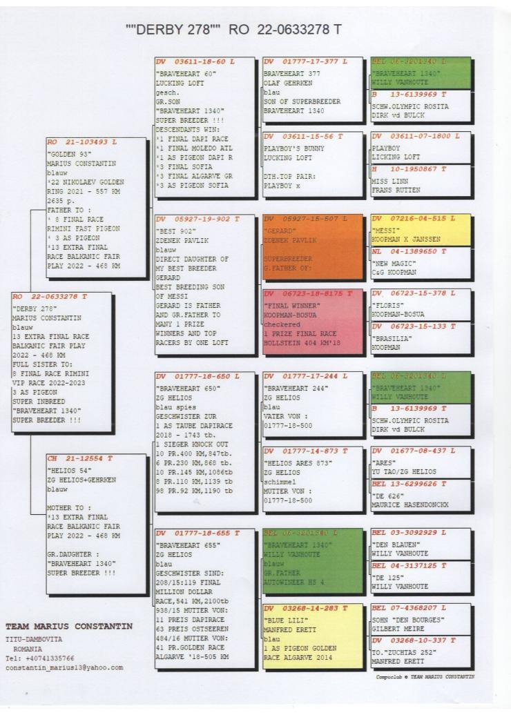 RO 22 633278 F - 13 Extra Final BFP; Full sister 8 Final Rimini VIP, 3 Ace BFP