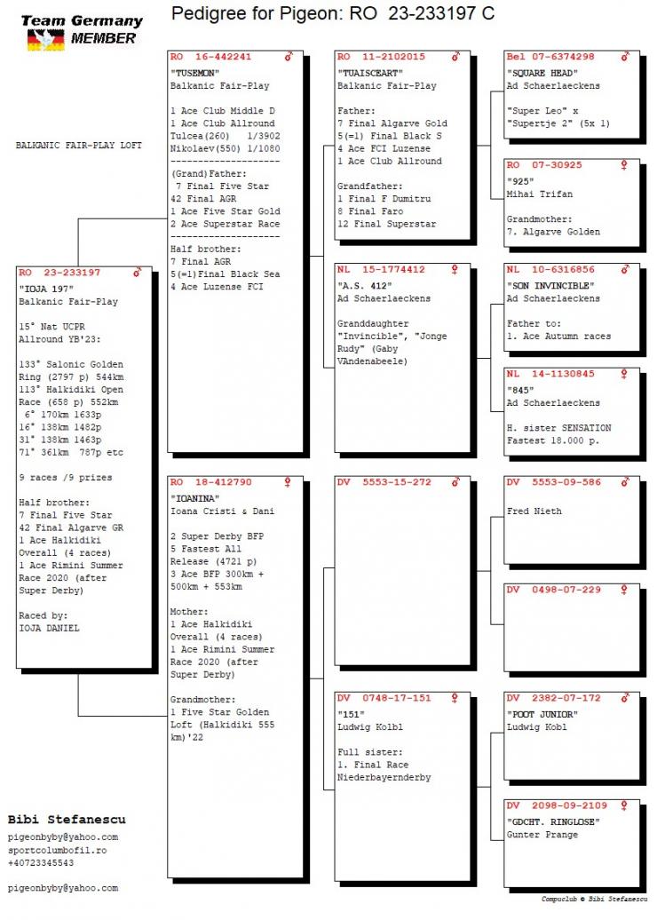 RO 233197-23 M - BIBI STEFANESCU - Half brother 42 Final Algarve Golden Race