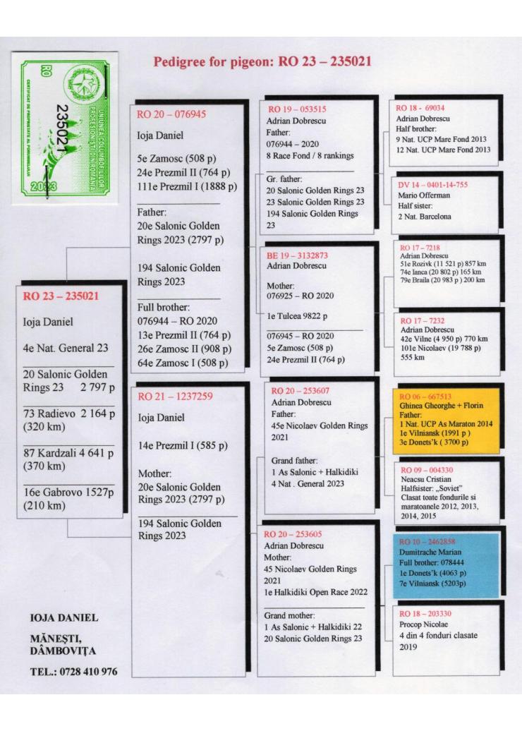 RO 235021-23 M - 20 place Salonic Golden Ring; 4 Nat UCPR Allround YB 2023