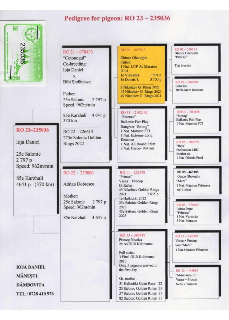RO 235036-23 F - 25 place Salonic Golden Ring
