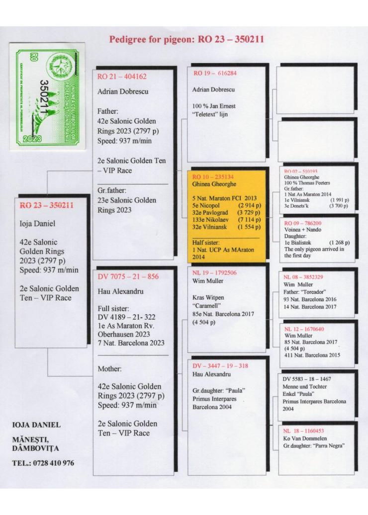 RO 350211-23 F - 42 place Salonic Golden Ring; 2 place Golden 10