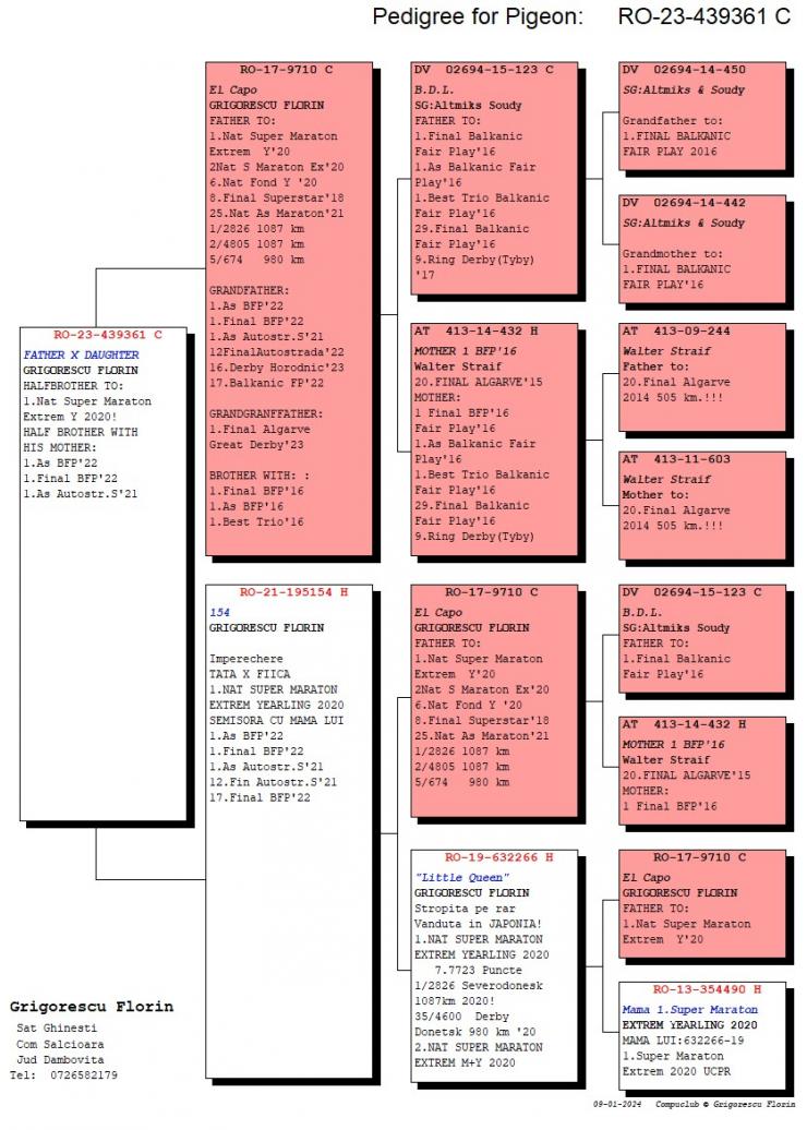RO 439361-23 M - Son El Capo = grandfather 1 Final (1 Ace) BFP 2022