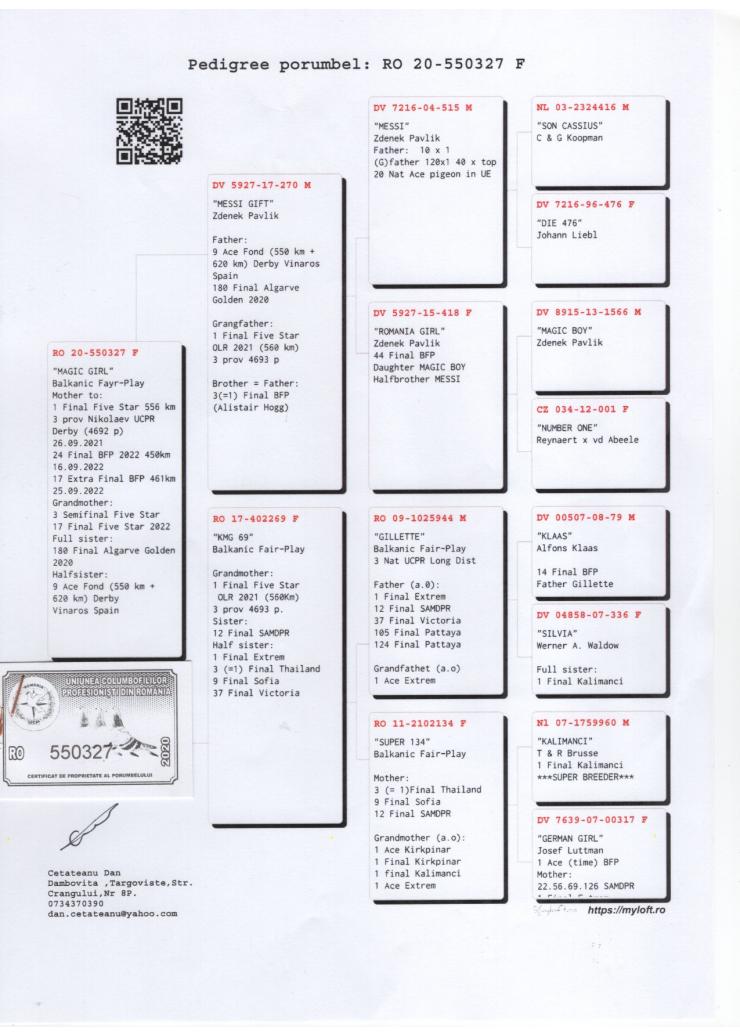 RO 550327-20 F - BIBI STEFANESCU - Mother 1 Final Five Star OLR, 1 Ace BFP (SF+F+EF)